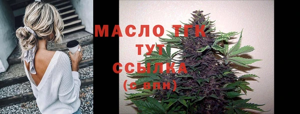 стаф Бородино