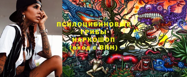 стаф Бородино