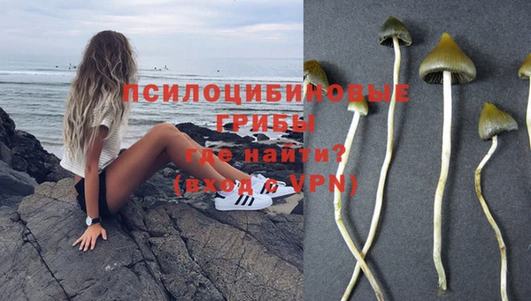 мяу мяу кристалл Богданович