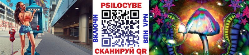 наркота  Белогорск  Псилоцибиновые грибы мицелий 